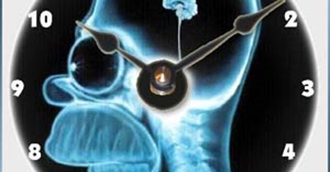 Tốc độ xử lý về mặt thời gian của bộ não con người