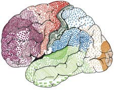 Khám phá trí thông minh và thiên tài trong bộ não Lênin