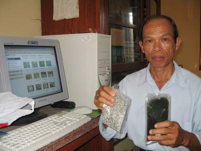 Trồng nho biển: Một vốn nhưng có đến mấy lời