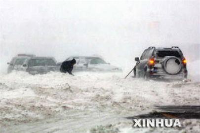 Trung Quốc: miền đông bắc tê liệt vì bão tuyết
