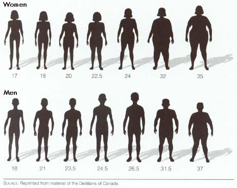 BMI có phải là chỉ số đánh giá chính xác mức độ gầy hay béo của cơ thể?