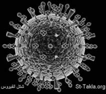 Nghiên cứu xác nạn nhân virus H1N1