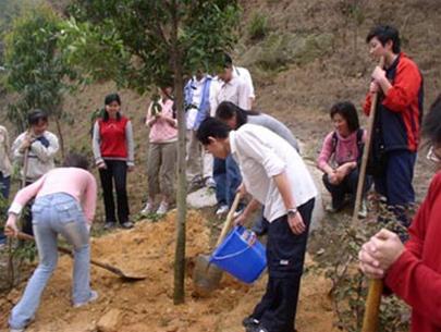Trung Quốc: tăng diện tích rừng trồng