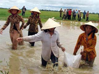 Hiểm họa của biến đổi khí hậu đối với VN và nhìn từ VN