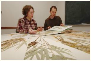Hai nhà thực vật học Lynn Clark và Jimmy Triplett là người nghiên cứu về sự đa dạng và tiến hóa của tre. 