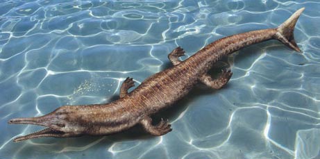 Cá sấu cổ đại bơi lội như cá