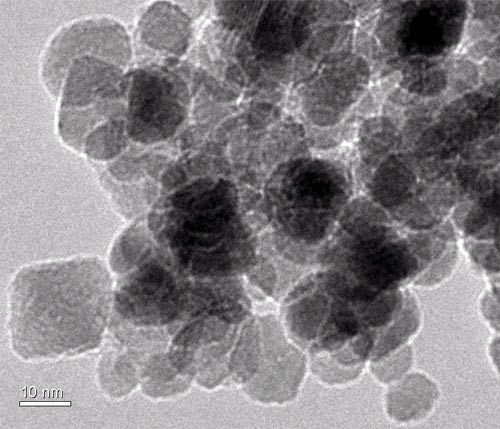 Độc tính trong hai loại vật liệu nano phổ thông