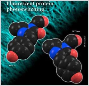 Nền tảng cấu trúc trong khả năng bật tắt ánh sáng của protein huỳnh quang
