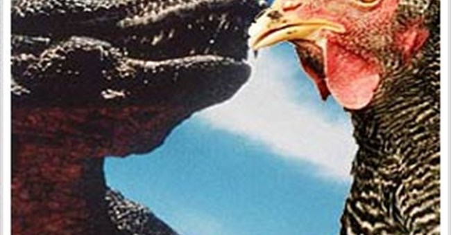 Khủng long bạo chúa là anh em với gà