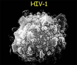 MK-0518: Thuốc mới trị HIV