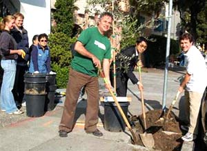 1 triệu cây xanh để “làm sạch” New York