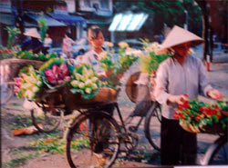Hà Nội: Triển lãm ảnh về ô nhiễm không khí