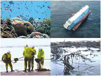 Từ chuyện váng dầu, cần tăng cường bảo vệ môi trường biển