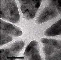 Chế tạo các linh kiện nhỏ dưới 10 nm bằng kính hiển vi điện tử