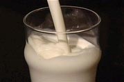Sữa mất mùi khi gần ánh sáng huỳnh quang