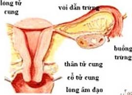 Thai ngoài tử cung: Có thể phòng tránh được
