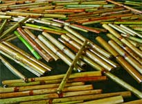 Những bí mật nhỏ của tre