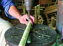 Những bí mật nhỏ của tre