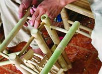 Những bí mật nhỏ của tre