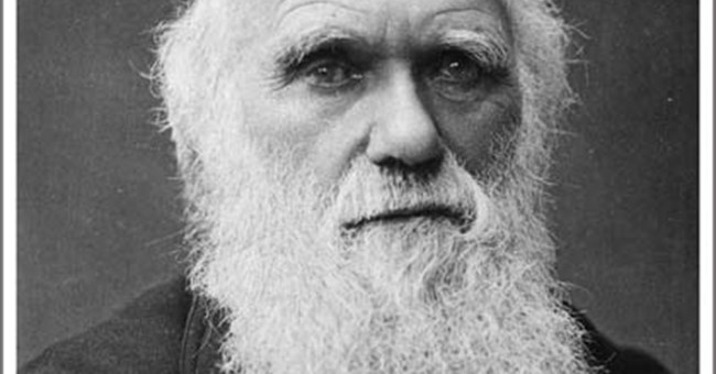 Những bức thư tiết lộ tuổi trẻ của Darwin