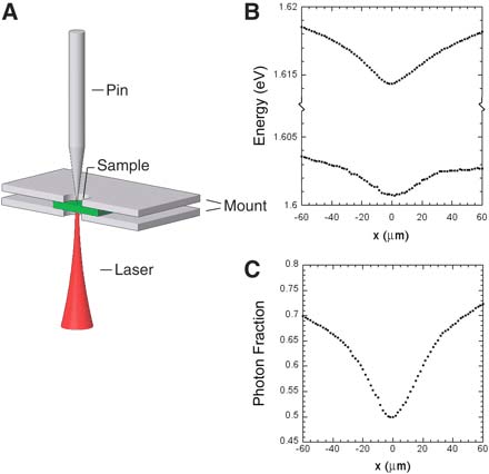 Các nhà vật lý khẳng định sự tồn tại của trạng thái ngưng tụ polariton