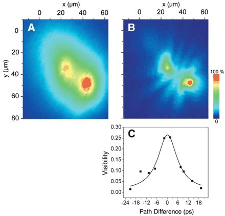 Các nhà vật lý khẳng định sự tồn tại của trạng thái ngưng tụ polariton