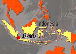 Indonesia: cảnh báo sóng thần sau động đất