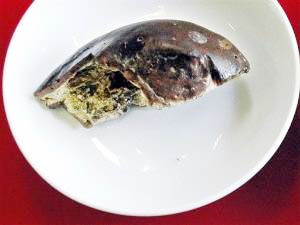 Nhật: Tìm thấy vỏ dưa... 2.100 tuổi