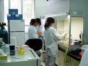Tiếp nhận nhiều mẫu bệnh phẩm nghi nhiễm virus H5N1