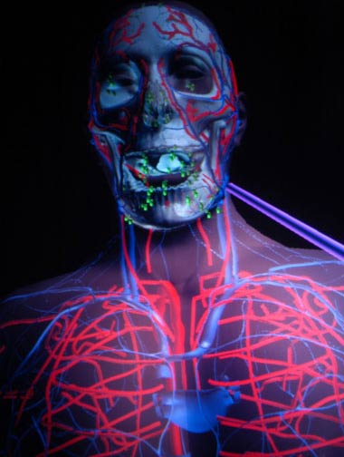 Giải phẫu sống cơ thể trong không gian ảo