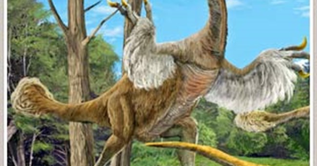 Tìm thấy khủng long giống hệt... gà