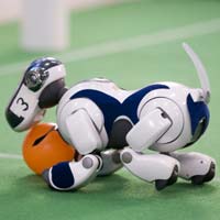Thế vận hội... robot
