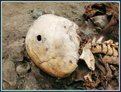 Phát hiện xác người cổ tại châu Mỹ