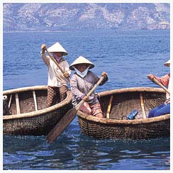 Nhiều loài hải sản trong vịnh Nha Trang bị khai thác cạn kiệt