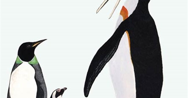 Cánh cụt cổ đại từng sống ở xứ nóng