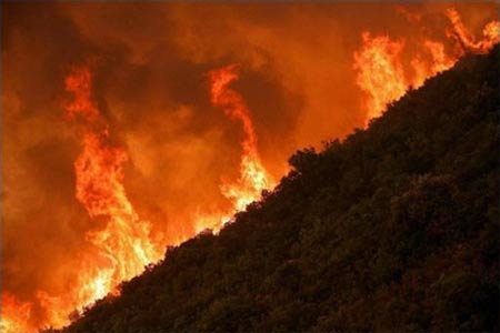 Hi Lạp: cháy rừng dữ dội