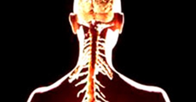 Cơ thể vẫn sống khi khuyết đầu!