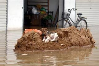 Trung Quốc: 360 người thiệt mạng trong mùa mưa
