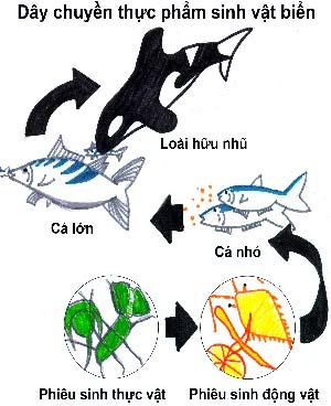 Hàng ngàn hóa chất cần được đánh giá lại về độc tính