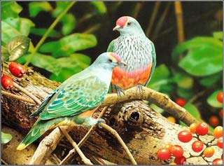 Đẹp không chỉ để gợi tình