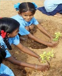 Ấn Độ: 10 triệu cây xanh trong 1 ngày