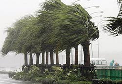 Nhật Bản hủy 128 chuyến bay vì bão