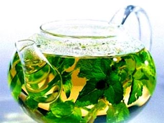 Thử nghiệm chất chống ung thư từ trà xanh
