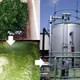 Tảo biển năng lượng của tương lai