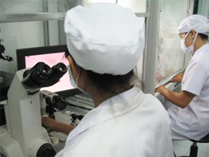Việt Nam: Chuẩn bị ghép tế bào gốc tái tạo mô da