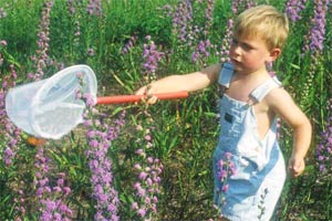 Làm vườn giúp chống lại chứng béo phì ở tuổi thơ