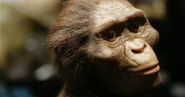 Lần đầu tiên triển lãm cụ tổ của loài người