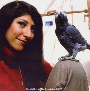 Con vẹt “phục vụ” ngành khoa học suốt 30 năm đã qua đời