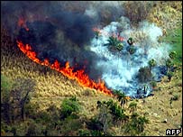 Cháy rừng, Paraguay ban bố tình trạng khẩn cấp