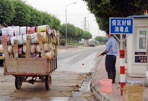 Trung Quốc xác nhận cúm gia cầm bùng phát ở Quảng Đông
